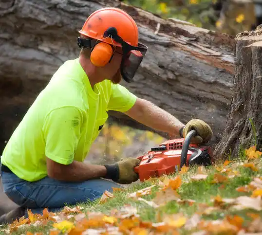 tree services Presque Isle